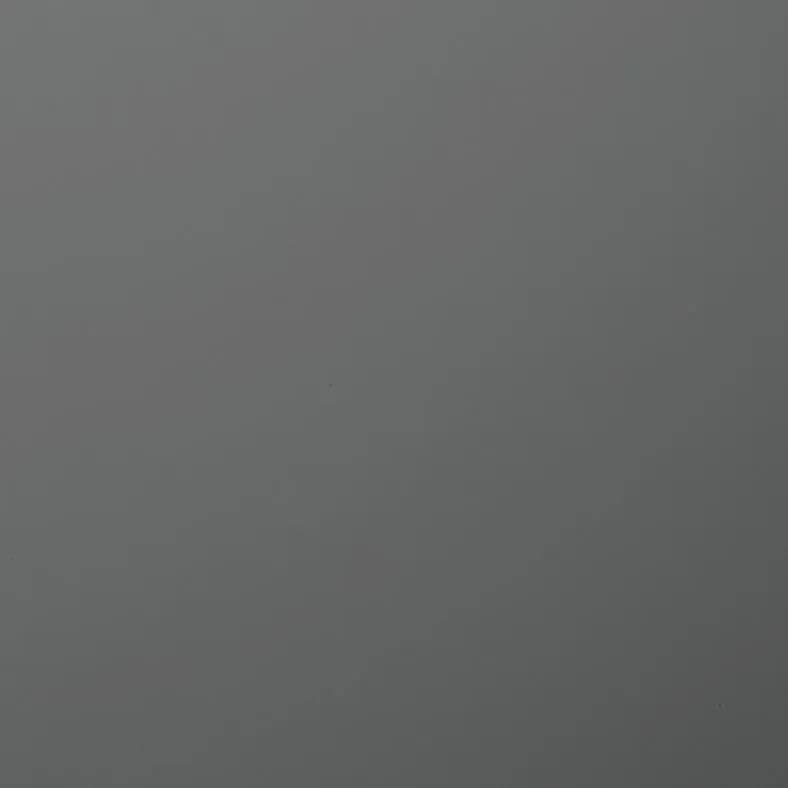 Solid Color PS-2093MT